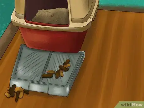 Image titled Deal with Cognitive Disorders in Cats Step 4