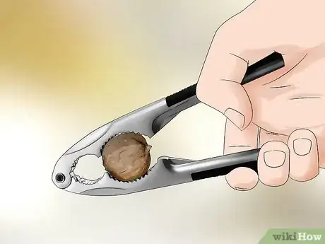 Image titled Identify Hickory Nuts Step 17