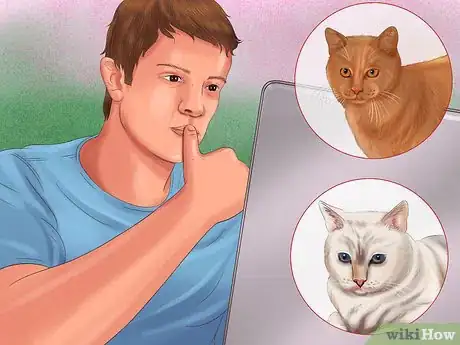 Image titled Buy a Cat Step 2