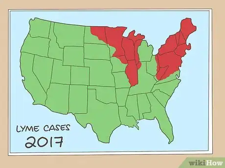 Image titled Prevent Lyme Disease Step 4