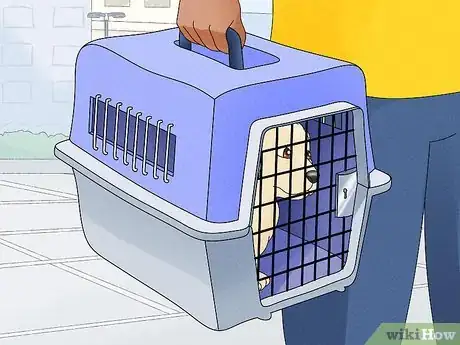 Image titled Avoid Puppy Scams Step 11