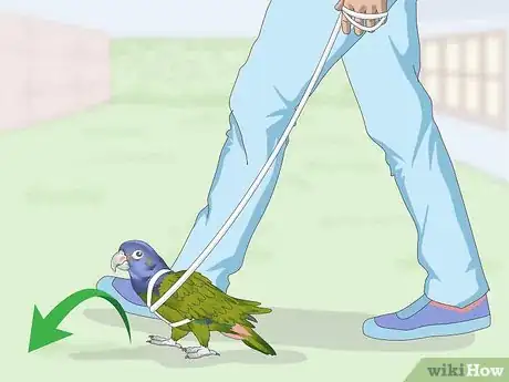 Image titled Keep a Pionus Parrot Entertained Step 9