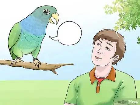 Image titled Know if a Pionus Parrot Is Right for You Step 9