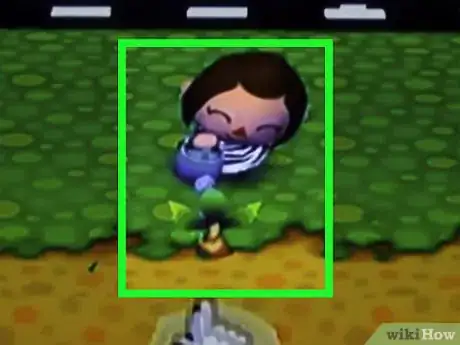 Image titled Plant a Coconut Tree in Animal Crossing_ City Folk Step 9