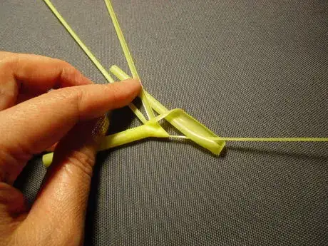 Image titled Shachi17_446.JPG