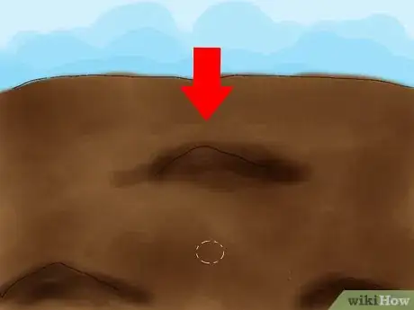 Image titled Grow Caladiums Step 05