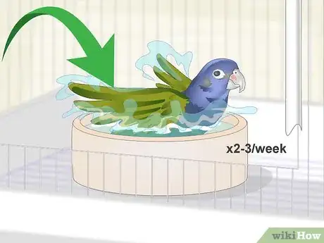 Image titled Keep Pionus Parrots Groomed Step 2