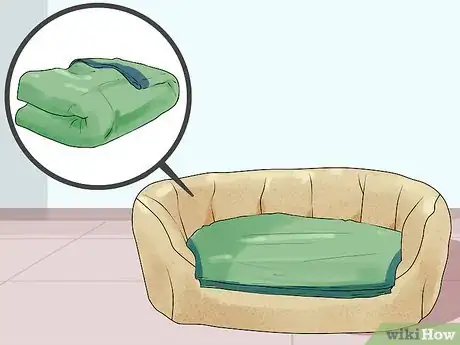 Image titled Greatly Improve the Life of a Dog with Arthritis Step 1