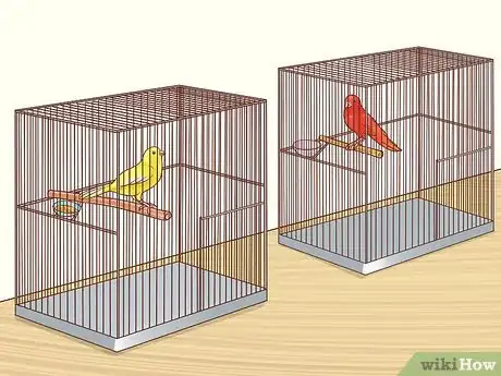 Image titled Know if a Canary Is Right for You Step 6