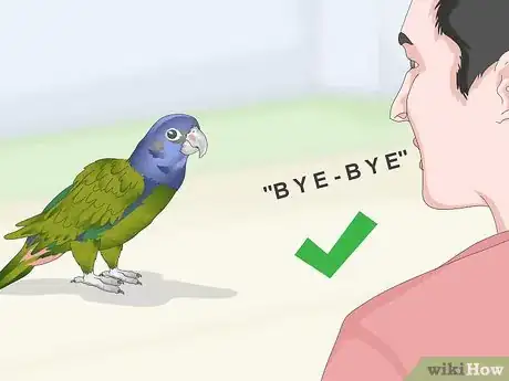 Image titled Teach a Pionus Parrot to Speak Step 6