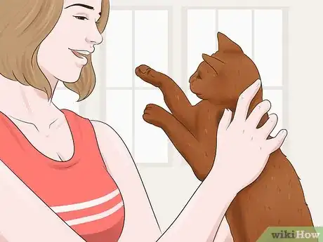 Image titled Care for a Havana Brown Cat Step 10