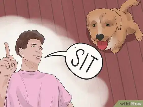 Image titled Teach a Dog to Read Sign Language Step 5