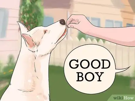 Image titled Help a Reactive Dog Relax Around Food Step 13