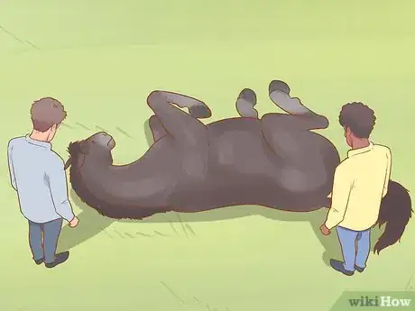 Image titled Uncast a Horse Step 11