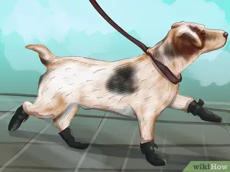 Image titled Be Prepared for Walking Your Dog Step 13