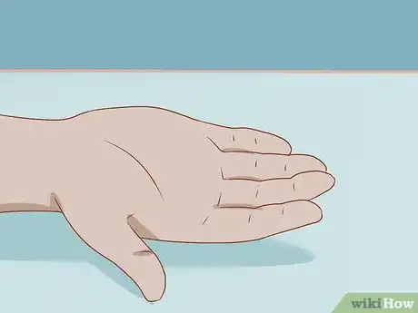 Image titled Get Your Guinea Pig to Eat a Treat Out of Your Hand Step 7