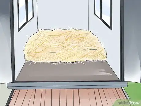 Image titled Take Your Horse on a Long Trailer Ride Step 2