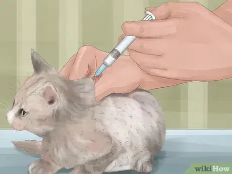 Image titled Socialize Your Kitten Step 10