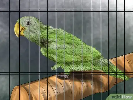 Image titled Treat Lovebird Pox Step 5