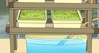 Design a Successful Indoor Garden