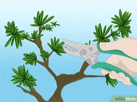 Image titled Propagate Azaleas Step 11