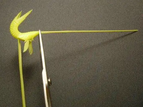 Image titled Shachi35_746.JPG