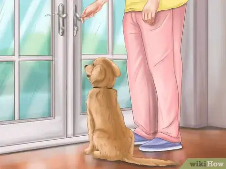Image titled House Train an Older Dog Step 5
