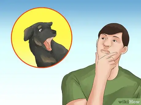 Image titled Walk a Dog in the Woods Step 2