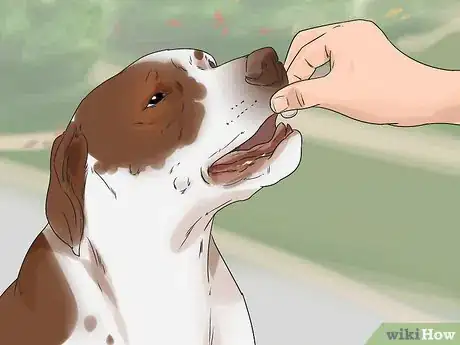 Image titled Help a Reactive Dog Relax Around Food Step 12