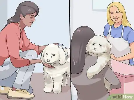 Image titled Find a Good Dog Groomer Step 9