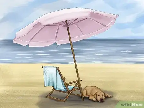 Image titled Care for Your Dog on the Beach Step 6