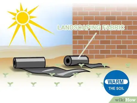 Image titled Grow Vegetables in the Southwest (USA) Step 04