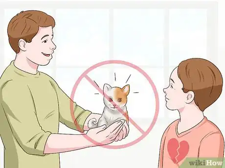 Image titled Help Kids Cope with the Death of Their Cat Step 14