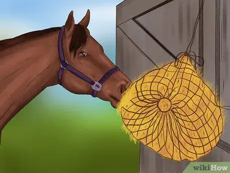 Image titled Maintain Healthy Weight for a Horse Step 5