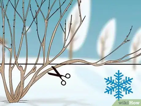 Image titled Prune Vines Step 1