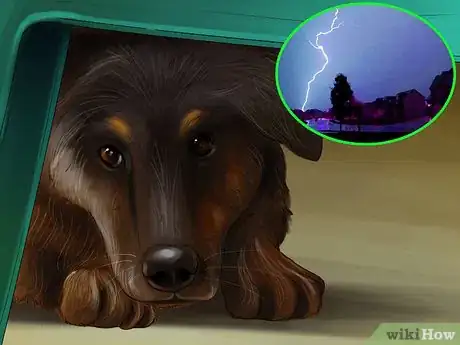 Image titled Deal with Canine Noise Aversion Step 3