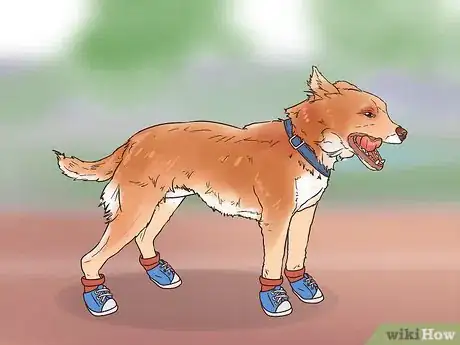 Image titled Protect Floors from Dirty Dog Paws Step 13