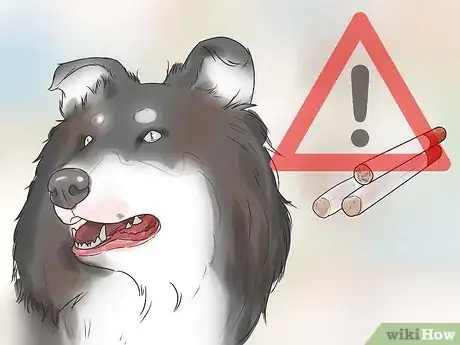 Image titled Prevent Dog Cancer Step 1