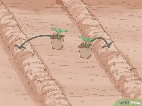 Image titled Grow Bottle Gourds Step 8