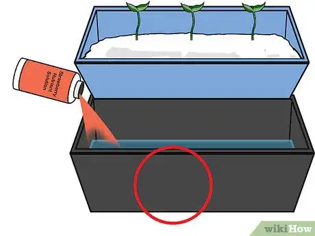 Image titled Grow Hydroponic Strawberries Step 17