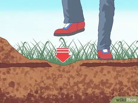 Image titled Catch Moles Step 7