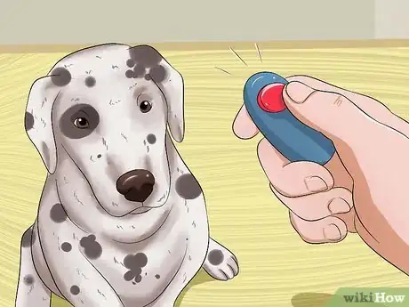 Image titled Teach Your Dog to Speak Step 2