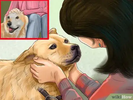 Image titled Show Affection to an Older Dog Step 8