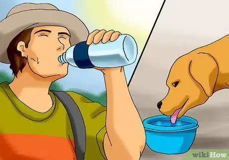 Image titled Hike with Your Hound Step 7