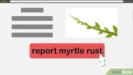 Image titled Grow Lemon Myrtle Step 13