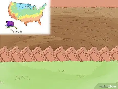 Image titled Grow Bottle Gourds Step 1