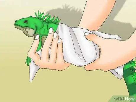 Image titled Help a Shedding Pet Reptile Step 7
