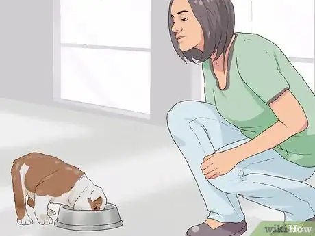 Image titled Feed a Fussy Puppy Step 8