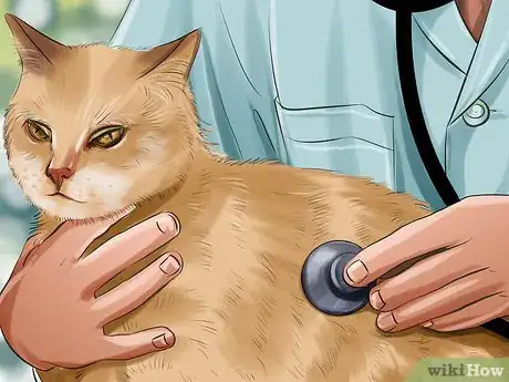 Image titled Tell if a Cat Has a Sore Throat Step 6