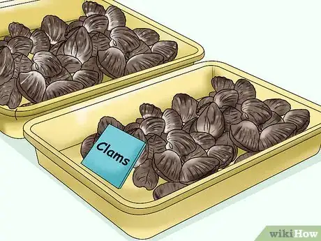 Image titled Cook Stuffed Clams Step 1